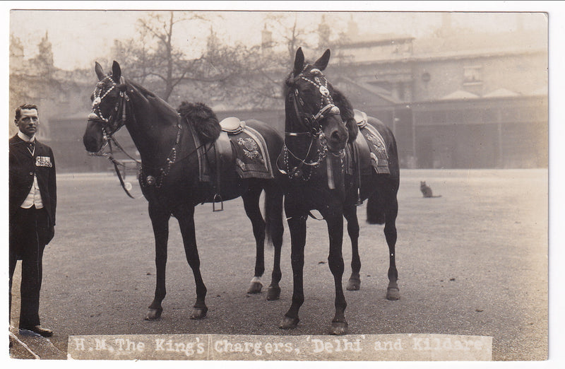 Great Britain - H.M.The King's Chargers