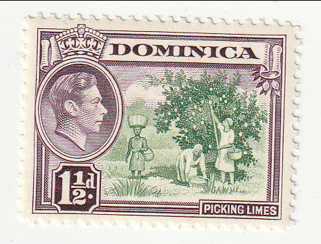 Dominica - Pictorial 1½d 1938(M)