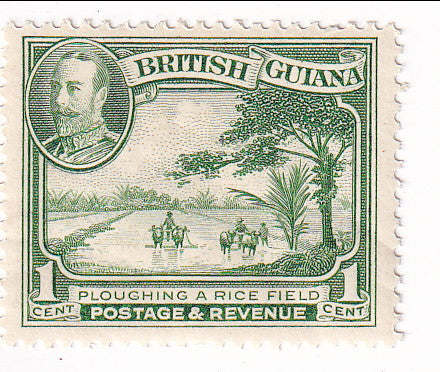British Guiana - Pictorial 1c 1934(M)