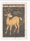 North Vietnam - Vietnamese Fauna 12x 1961