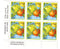 New Zealand - Imprint block, New Zealand Fruits 20c 1983