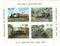 New Zealand - Railway, Glenbrook m/s 1994(1)