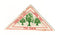 U. S. A. - Local, Shrub Oak 2c Trees (triangle)