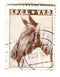South Africa - Horses, S.P.C.A. + V.V.D.