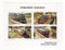 Australia - Railway, Thirlmere m/s 1985(2)