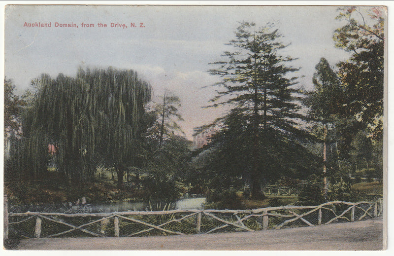Postcard - Auckland Domain, from the Drive