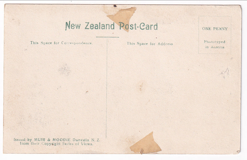 Postcard - Albert Park, Auckland