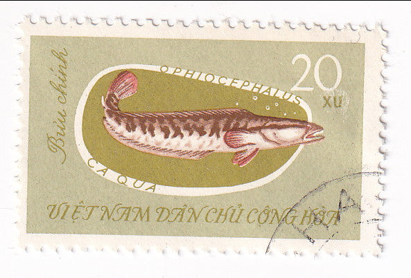 North Vietnam - Freshwater Fish Culture 20x 1963