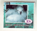 Ross Dependency - Wild Life 10c 1994