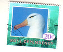 Ross Dependency - Wild Life 20c 1994