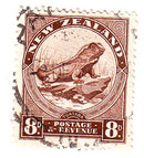 New Zealand - Pictorial 8d Tuatara 1942