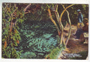 Postcard - The Fairy Spring