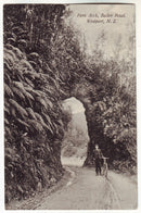 Postcard - Fern Arch, Buller Road