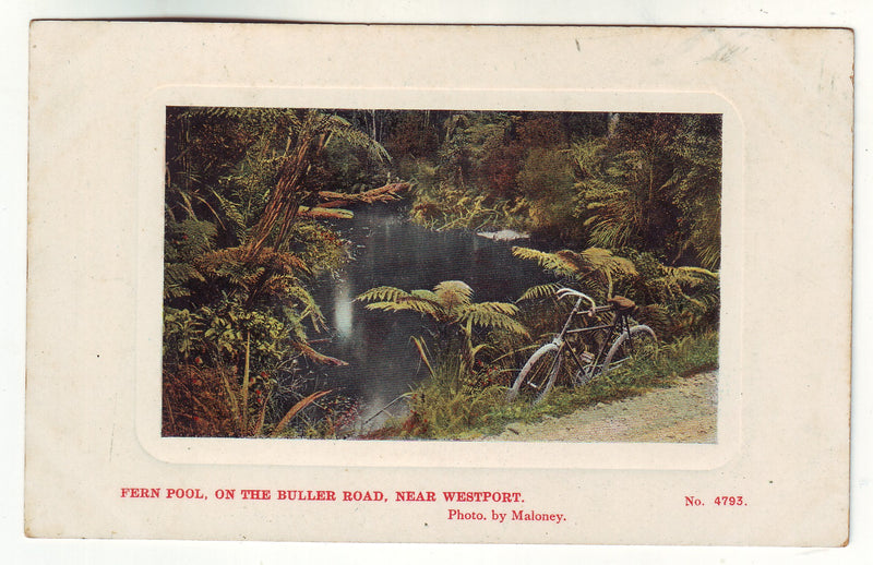 Postcard - Fern Pool, on the Buller Road