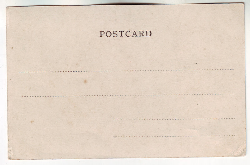 Postcard - Wellington, N.Z. Govt. House