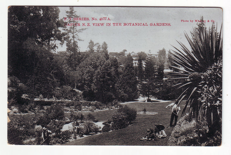 Postcard - Napier Botanical Gardens