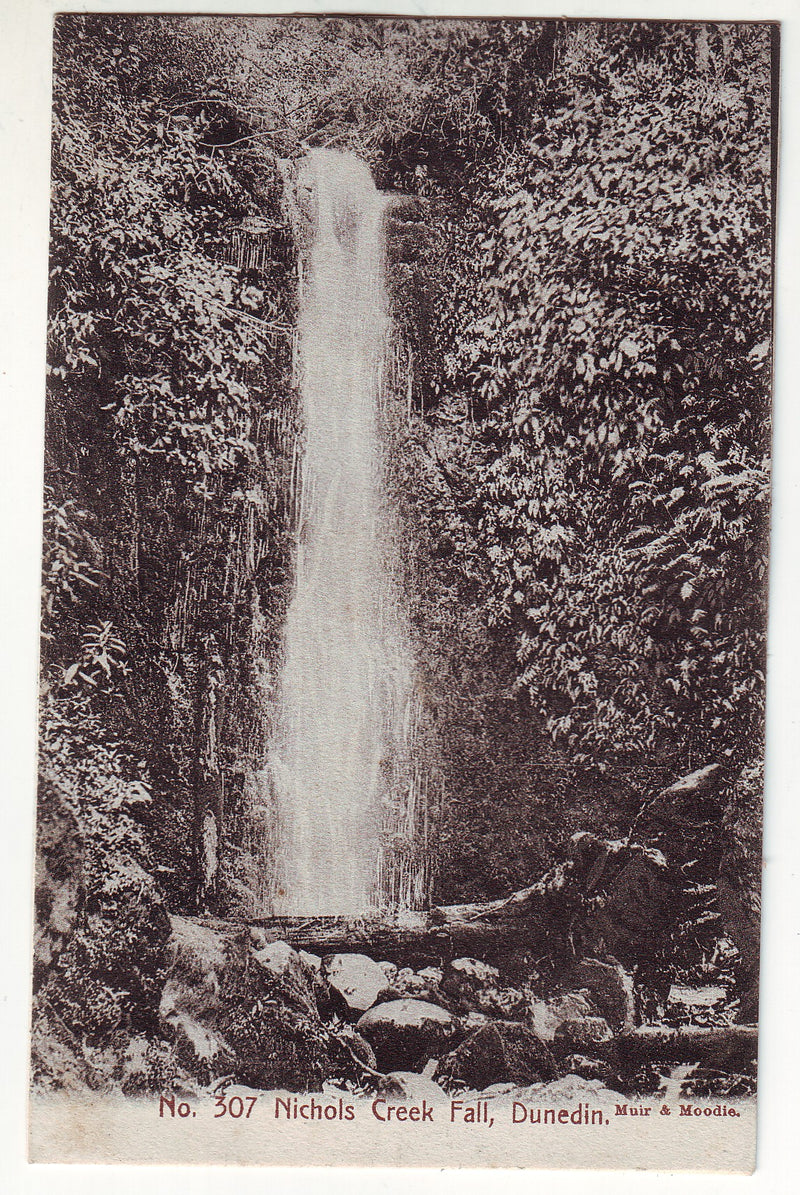 Postcard - Nichols Creek Fall, Dunedin.