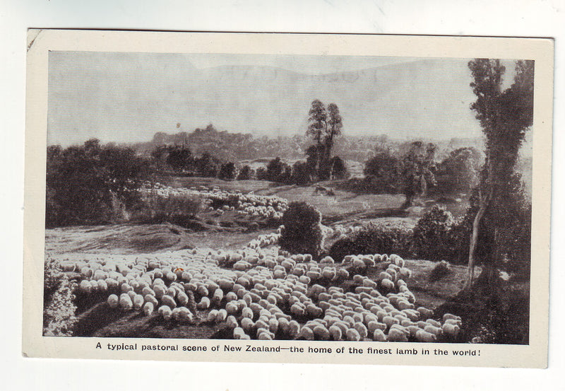 Postcard - Typical pastoral scene