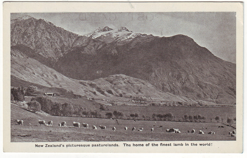 Postcard - New Zealand's Picturesque Pasturlands