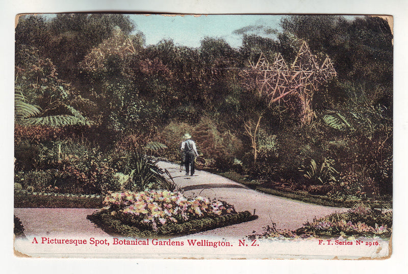 Postcard - A Picturesque Spot, Wellington
