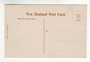 Postcard - Sanatorium Gardens, Rotorua