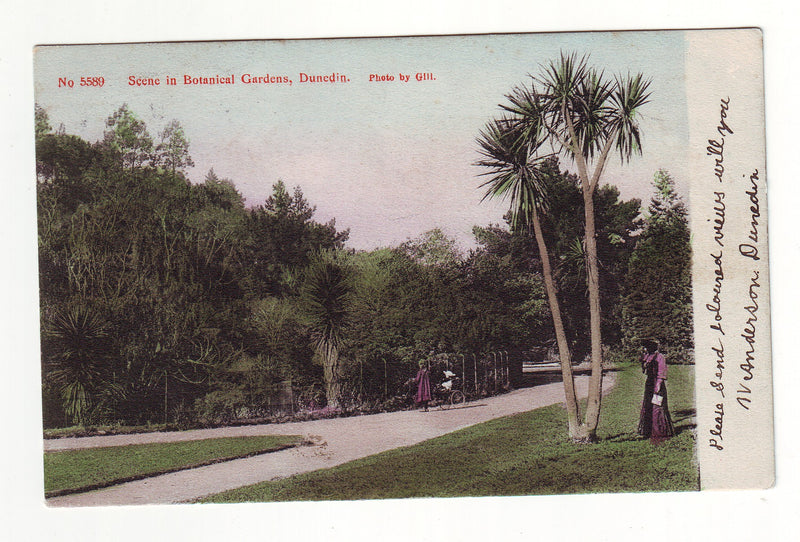 Postcard - Scene in Botanical Gardens, Dunedin