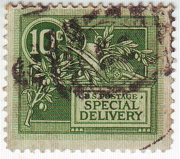 U. S. A. - Special Delivery .10c 1908