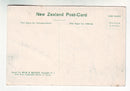 Postcard - The great Wairoa Geyser
