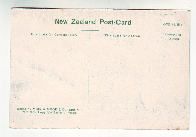 Postcard - The great Wairoa Geyser
