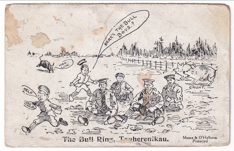 Postcard - WW1, The Bull Ring, Tauherenikau