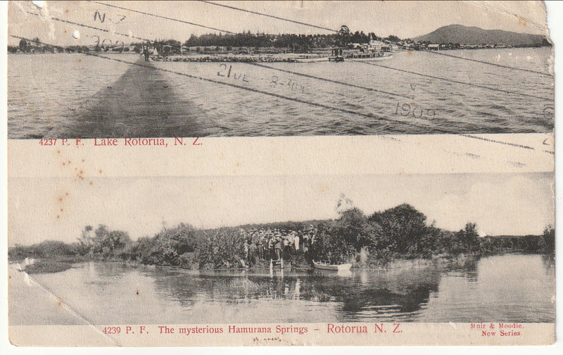 Postcard - The Mysterious Hamurana Springs