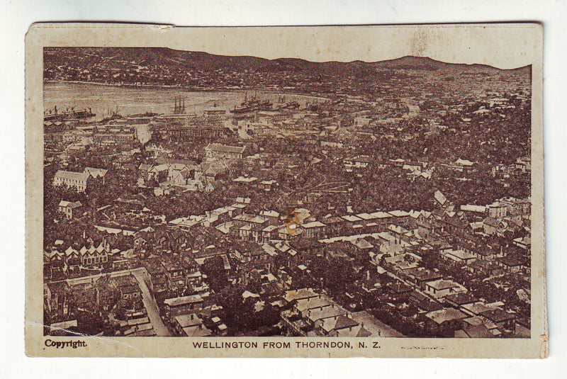 Postcard - Wellington from Thorndon