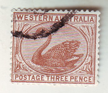 Western Australia - Swan 3d 1882