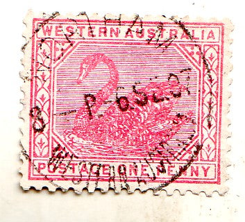 Western Australia - Swan 1d 1905